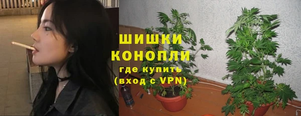 дживик Аркадак