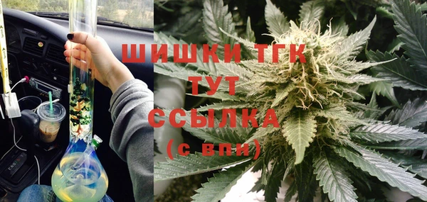 прущая мука Арсеньев