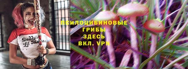 прущая мука Арсеньев
