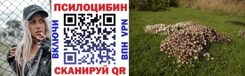 Псилоцибиновые грибы прущие грибы Миллерово