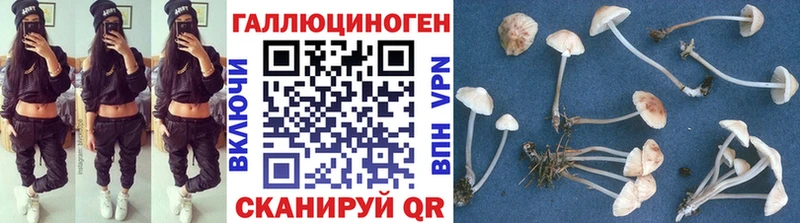 Галлюциногенные грибы GOLDEN TEACHER  Миллерово 